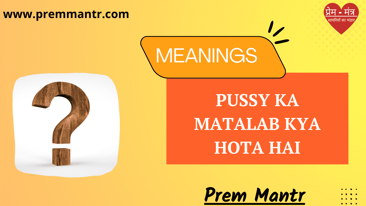 Pussy ka matalab kya hota hai hindi , Pussy in Hindi Prem Mantr